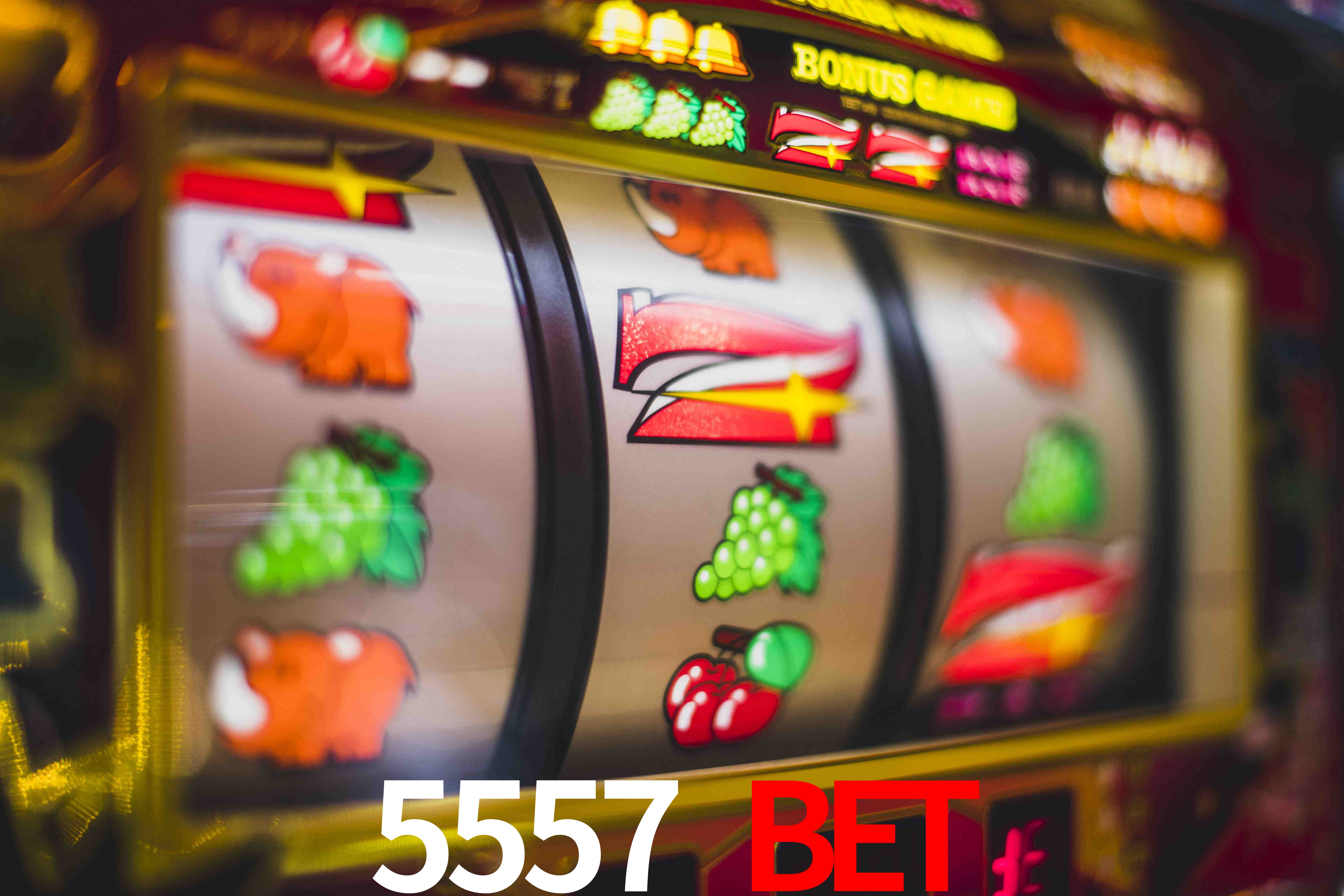 Spaceman Game 5557 bet